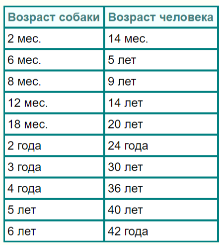 Человеческие года. Собачий Возраст на человеческий. Кошачий Возраст на человеческий. Год кошки. 1 Кошачий год на человеческий