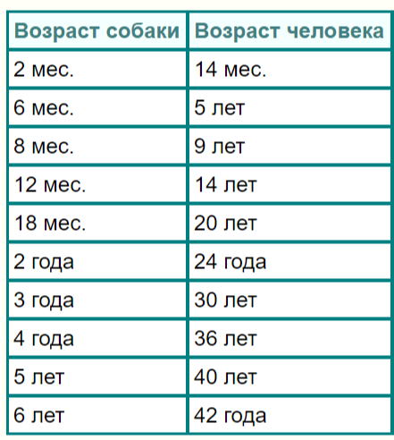 3 года по кошачьим меркам