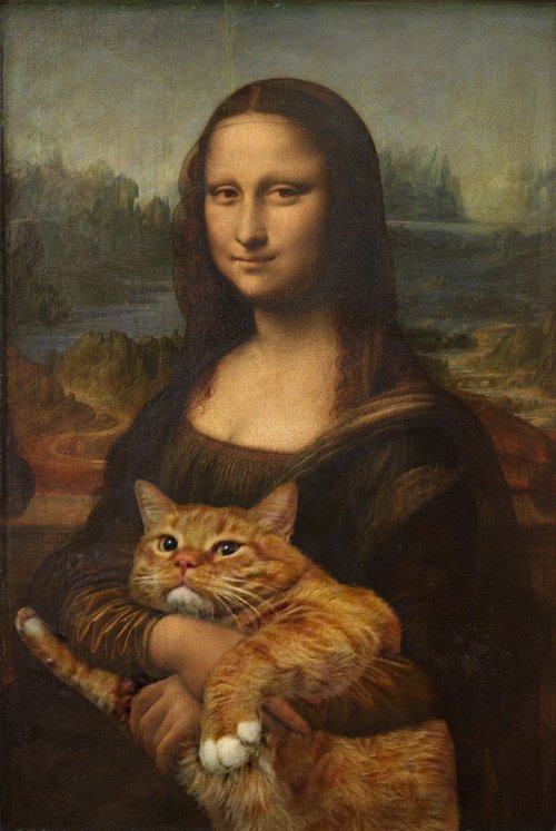 Самые известные коты в Интернете (65 фото)