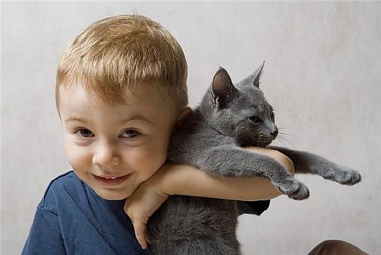 дружба с котом ребенка, воздействие кошек на детей