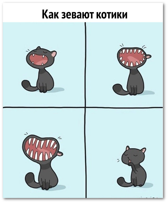 изображение: Как зевают котики #Прикол