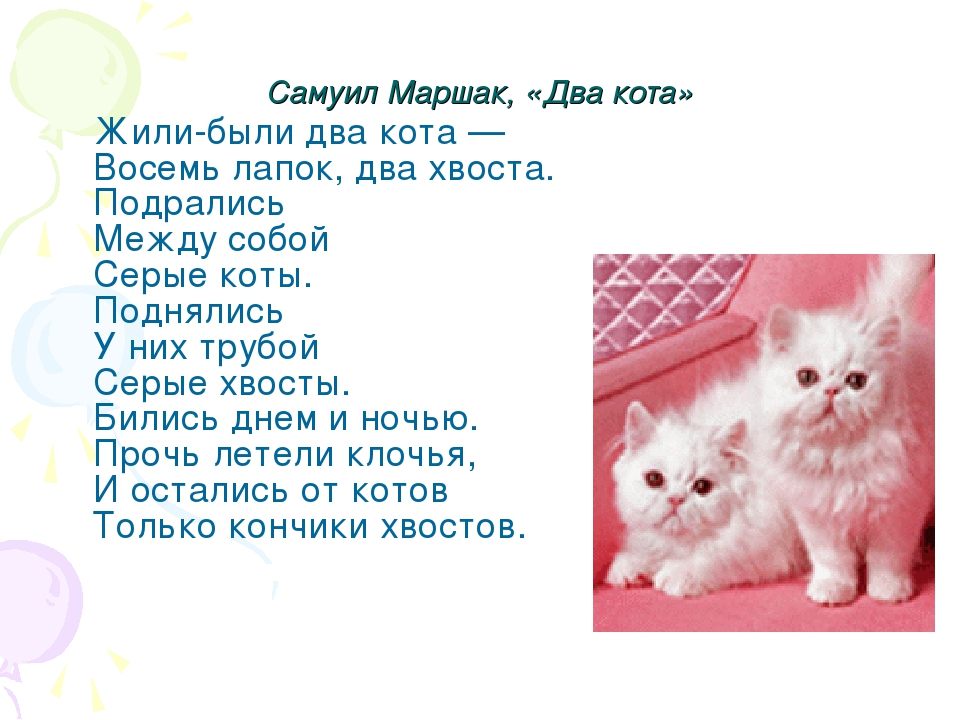 Котики две тревожности текст. Стих про кошку для детей. Стихи про котят. Котята. Стихи для детей. Стихотворение про кошку для детей.