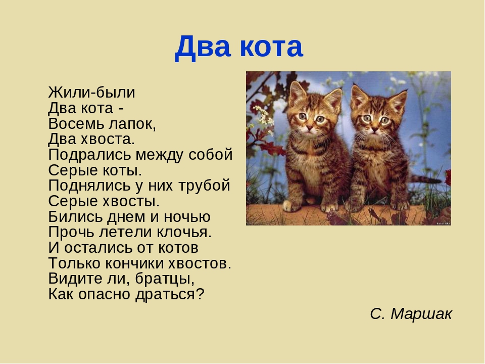 Котенок стих текст. Жили были два кота восемь лапок два хвоста. Два кота стих. Текст про кота. Жили были два кота.