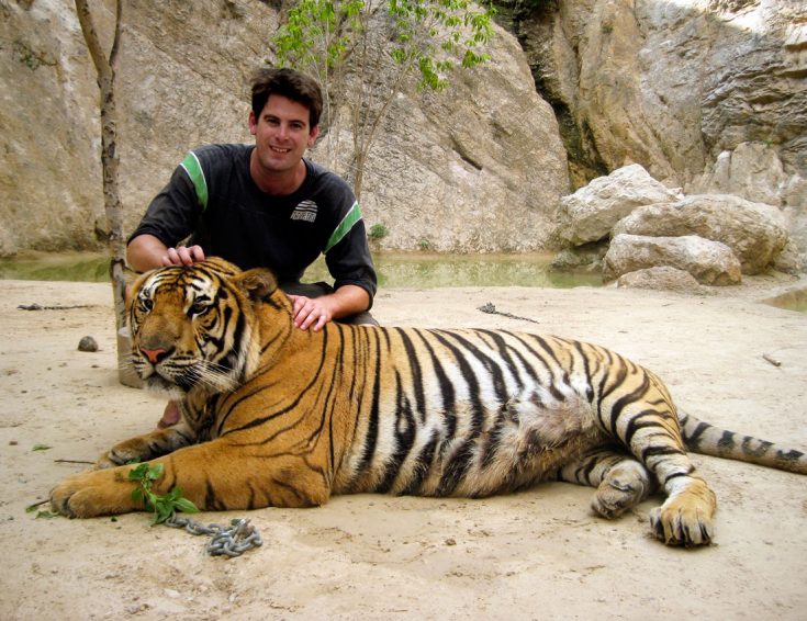 Человек и тигры