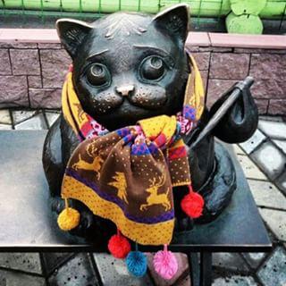 Памятник коту Семену в Мурманске фото