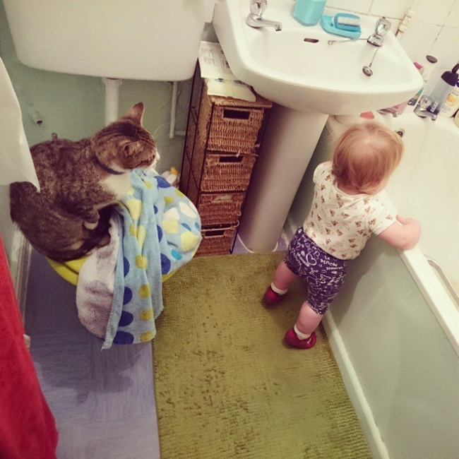 2. Кошка научит ребенка гигиене.