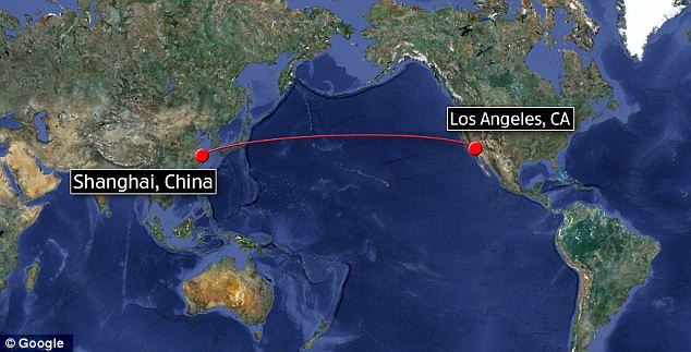 Shocking Ni Hao traveled 6,500 miles from Shanghai to Los Angeles without food or water
