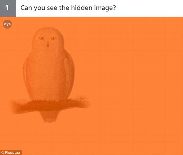 In each image, a drawing is hidden - and it