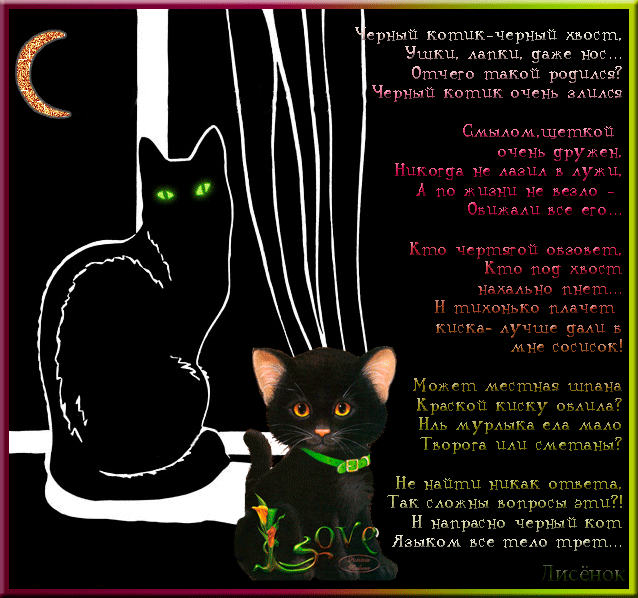 Слова про черный. Стих про кошку. Стих про черного котенка. Стихотворение про черную кошку. Стих про черного кота для детей.