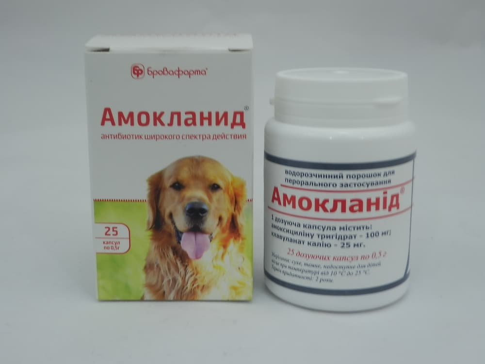 Какие антибиотики для собак. Антибиотик для щенков. Антибиотики для собак в таблетках. Антибиотик для собак. Антибиотики широкого спектра для животных.