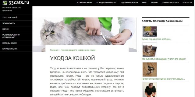Сайты для кошатников: топовая десятка для тех, кто живет с котами