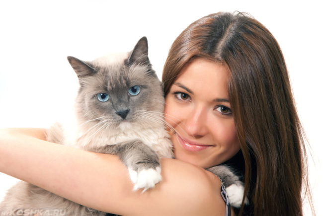 Девушка обнимает двухцветную стерилизованную кошку