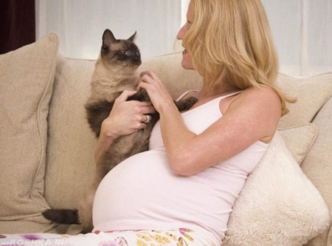 Беременная женщина и кошка