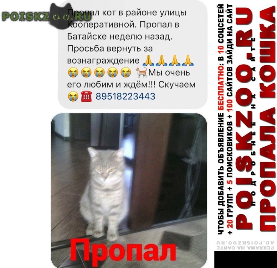 Кастрация Кота Ростов На Дону