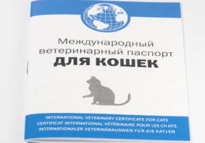 ветеринарный паспорт кошек