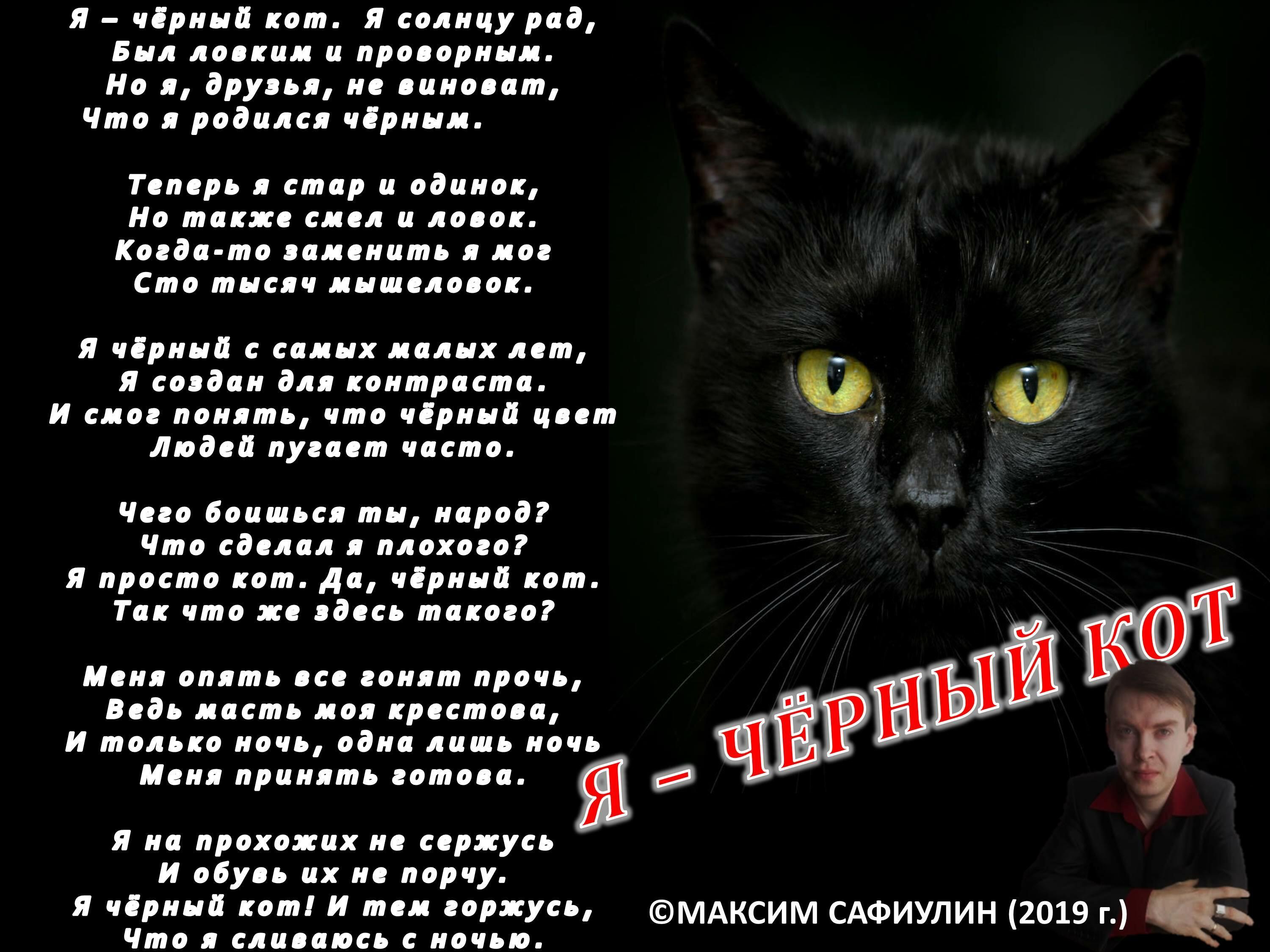 Текст песни жил да был черный. Стих про черного кота. Стихи о черном коте. Стих про черного котенка. Стих про черного кота для детей.