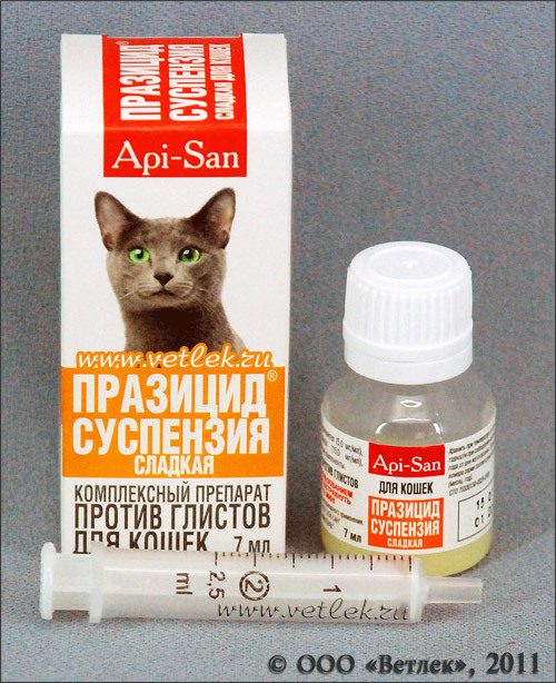 Лекарство От Глистов Для Кошек Цена