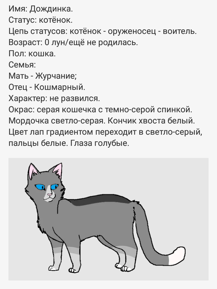 Котенок какое имя. Клички для котов. Имена для котиков. Клички котов мальчиков красивые. Имена для котов мальчиков серого цвета.