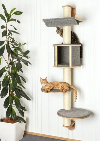Домики для кошек с когтеточкой: виды, изготовление и размещение