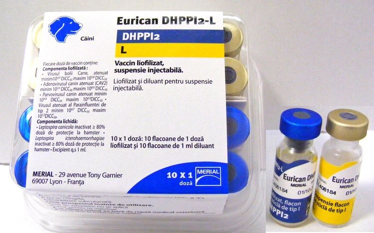 Вакцина эурикан dhppi2. Эурикан LR И dhppi2. Эурикан dhppi2 вакцина для собак. Эурикан dhppi2 RL. Эурикан вакцина для щенков.