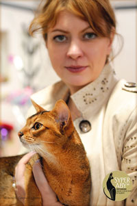 Питомник абиссинских кошек Москва
