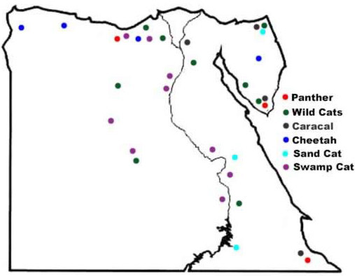 Range of the Cats of Egypt