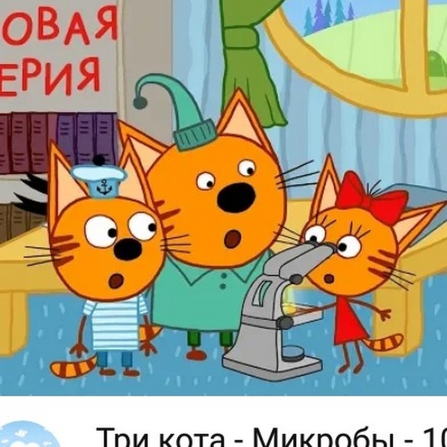 Закрой 3 кота. Три мультфильм три кота. Три кота мультсериал 3 сезон. Три кота микробы 101 серия. Три кота бюро добрых дел 102 серия.