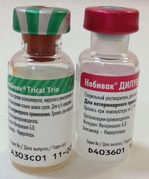 Инструкция по применению вакцины Нобивак 